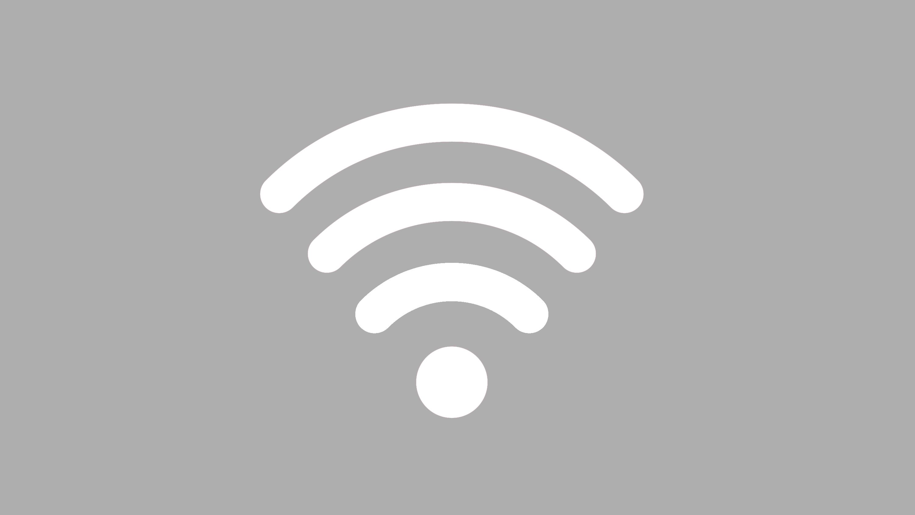 WLAN option